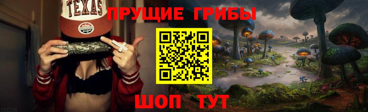 Губкин  Галлюциногенные грибы мицелий  Вход с VPN 
